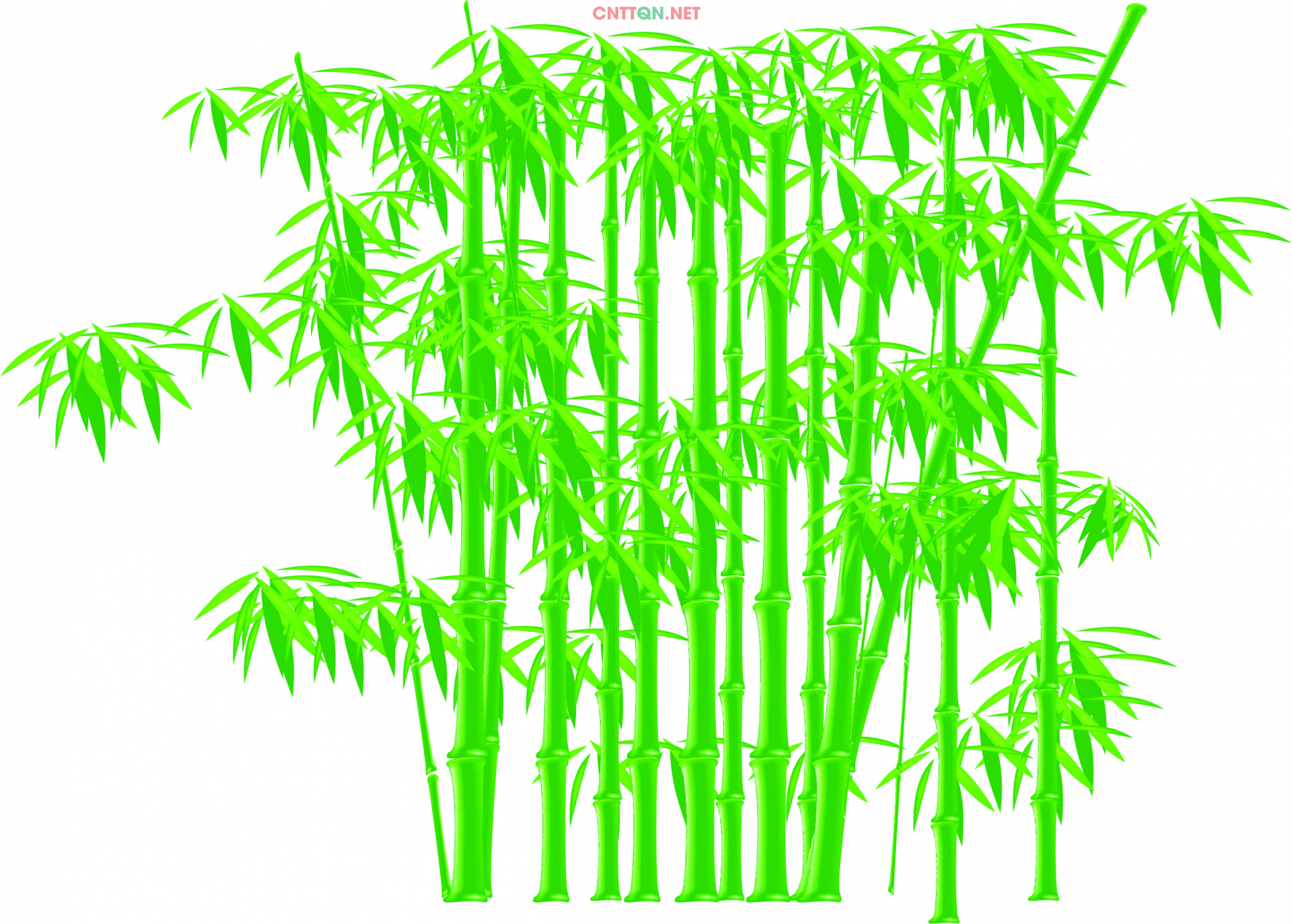 Vector Bụi Tre – Vector Bamboo file CDR & AI